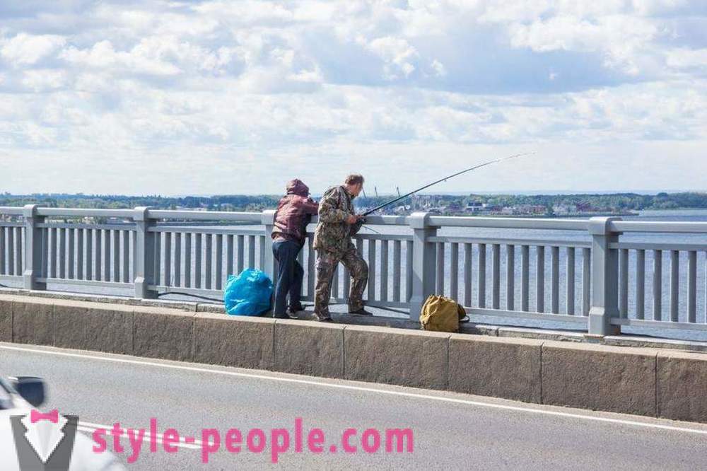 Απαγορεύεται η αλιεία στο Saratov στο Βόλγα: φωτογραφίες και σχόλια
