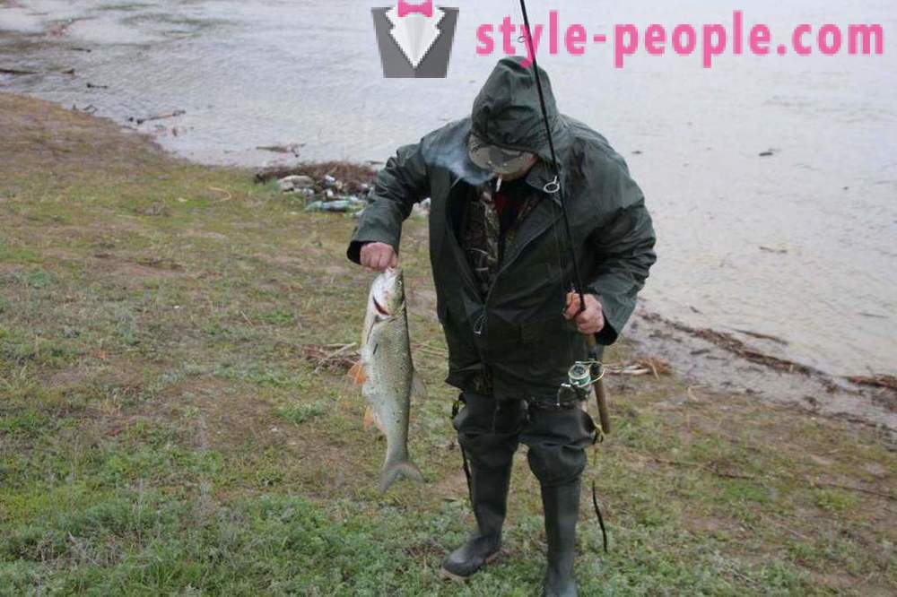 Απαγορεύεται η αλιεία στο Saratov στο Βόλγα: φωτογραφίες και σχόλια