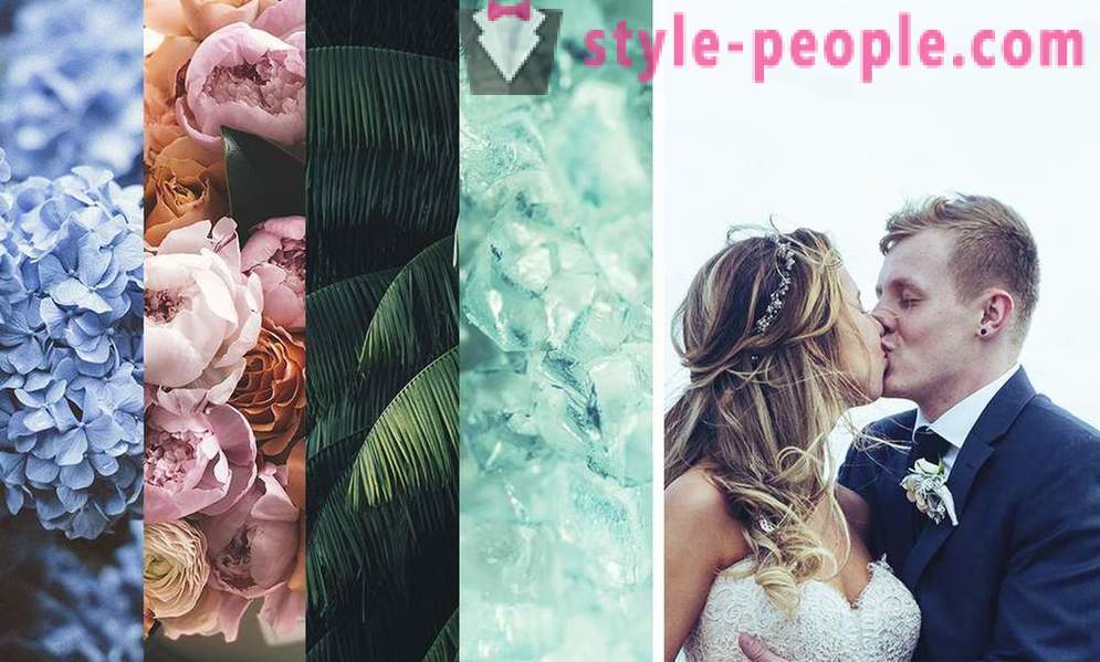 Trendy χρώματα του γάμου των Pantone 2019 Εμπειρογνώμονες
