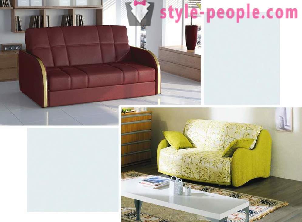 Πώς να επιλέξετε έναν καναπέ για το χώρο σας