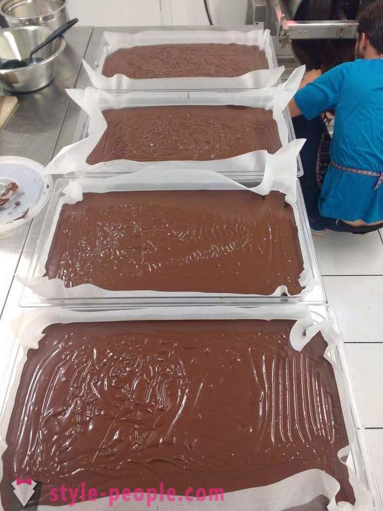 Η διαδικασία της καλλιέργειας και παραγωγής σοκολάτας