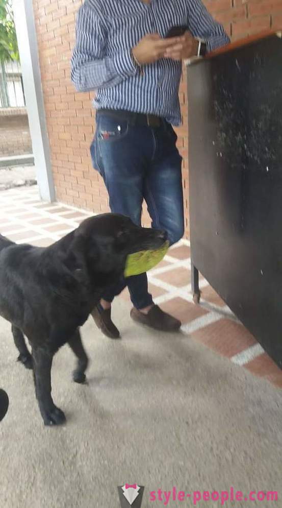 Ο σκύλος έχει μάθει να αγοράσει τρόφιμα για το δικό της νόμισμα