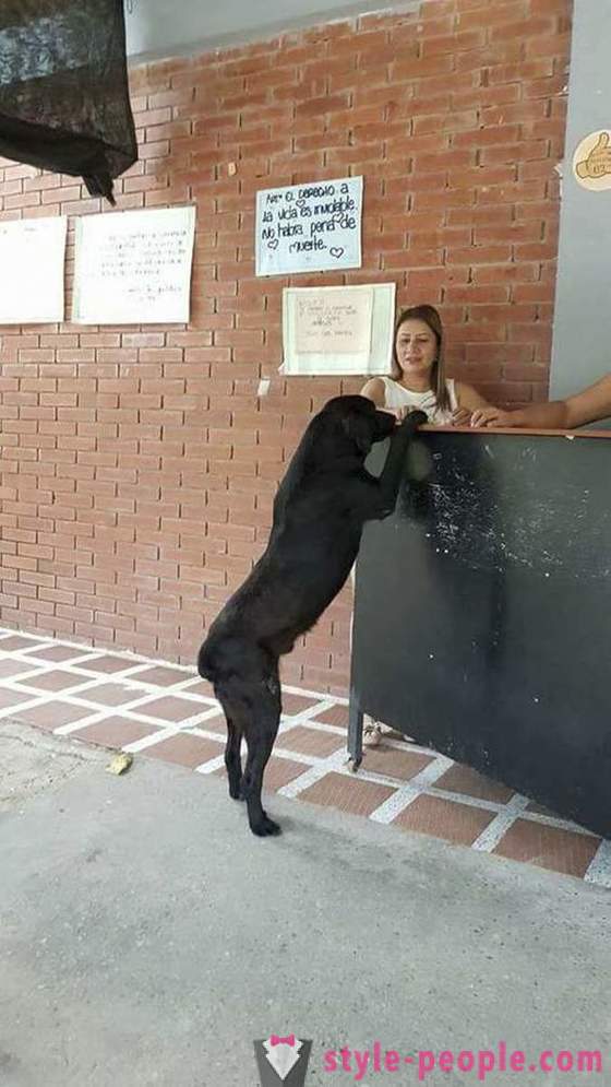 Ο σκύλος έχει μάθει να αγοράσει τρόφιμα για το δικό της νόμισμα