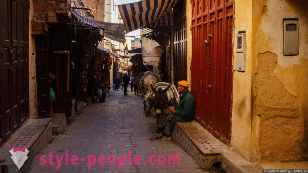 Μαροκινή παραμύθι: α δυσώδης Φες
