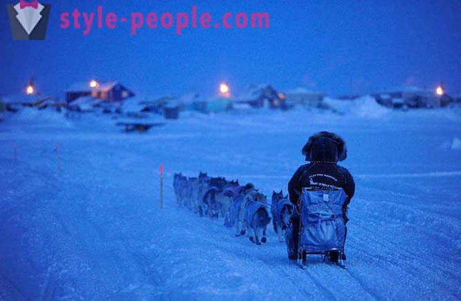 Ελκήθρων σκυλιών Race 2012 Iditarod