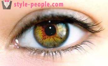Βάλτο το χρώμα των ματιών. Τι καθορίζει το χρώμα του ανθρώπινου ματιού;