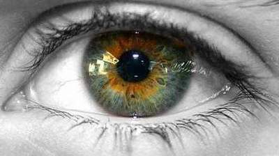Βάλτο το χρώμα των ματιών. Τι καθορίζει το χρώμα του ανθρώπινου ματιού;