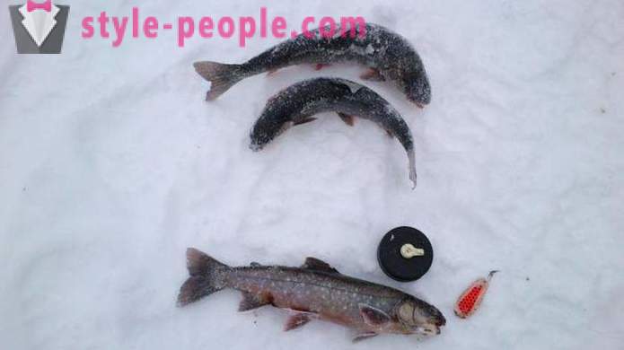 Οι αλιείς σημειώστε: πέστροφα αλιείας το χειμώνα