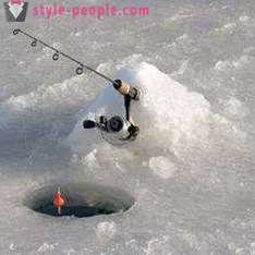 Αξεσουάρ Χειμώνας καλάμια ψαρέματος στην τσιπούρα. ράβδο πλωτήρα Winter: snap