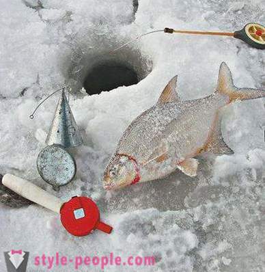 Τσιπούρες ψάρεμα το χειμώνα: τα μέσα και οι τρόποι για αρχάριους ψαράδες